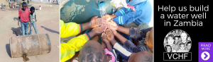 Zambia Water Well Project